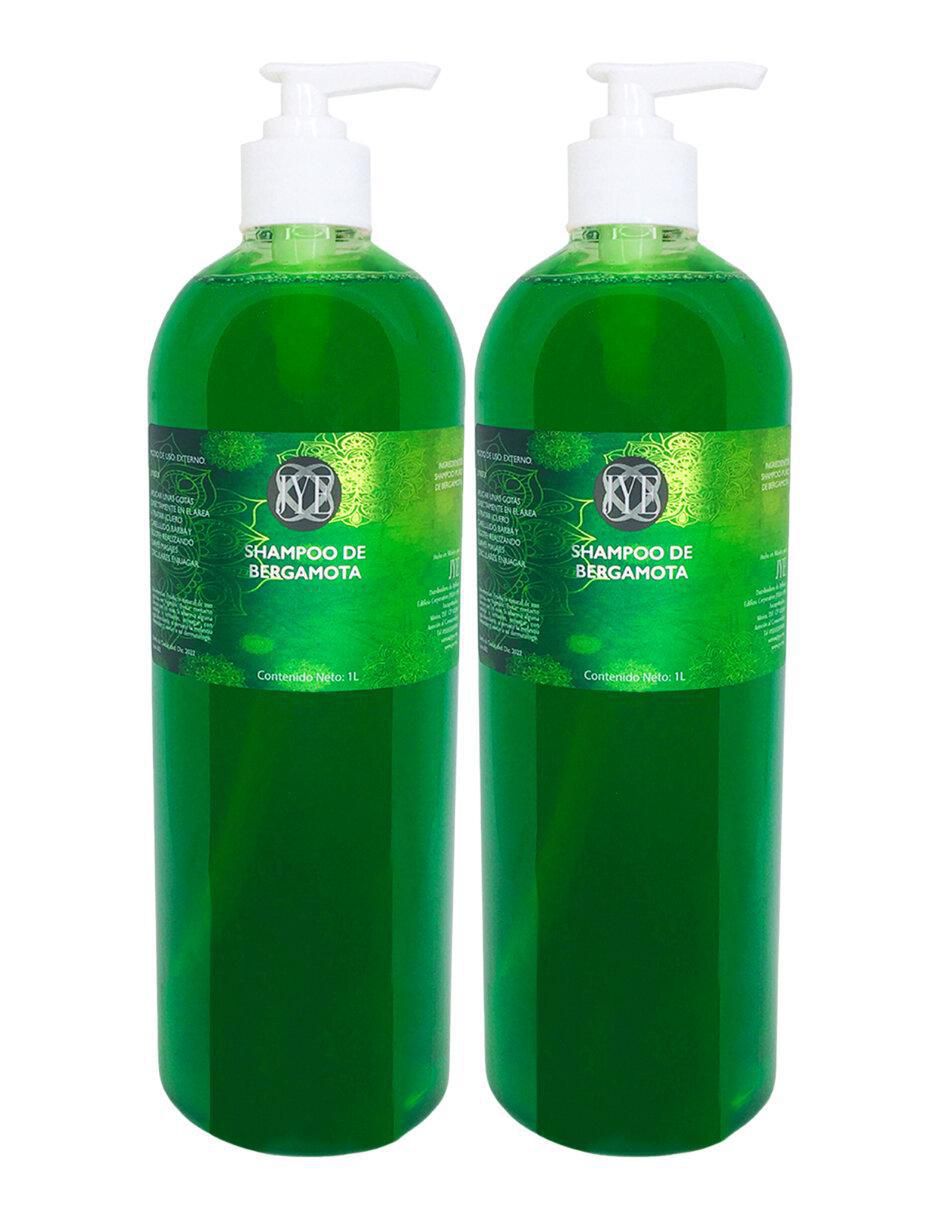 Shampoo anticaída para cabello 1 L