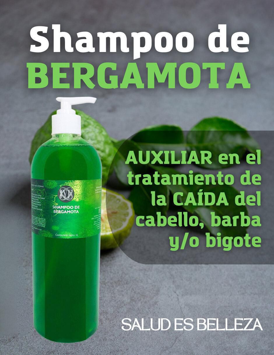 Shampoo anticaída para cabello 1 L 2