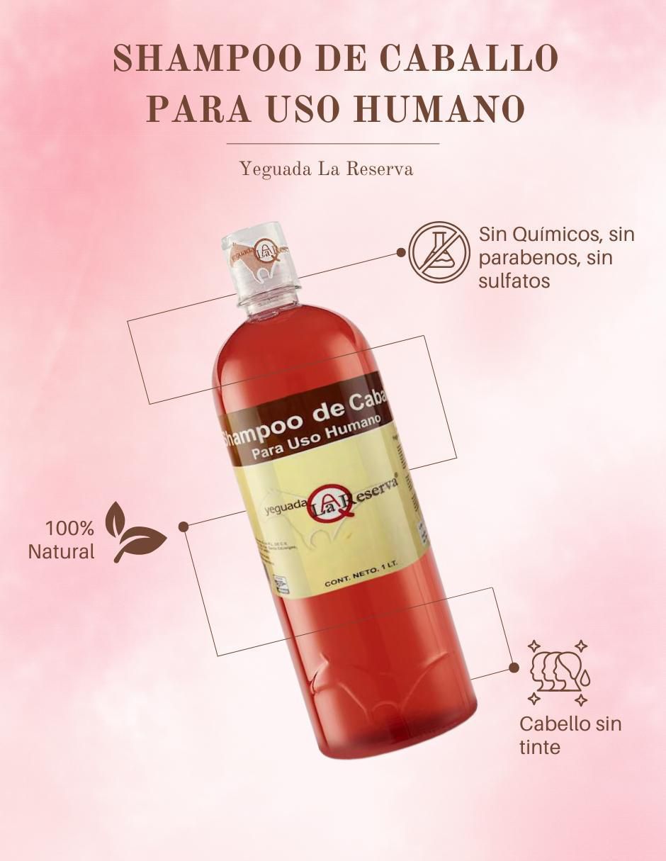 Shampoo anticaída para cabello 2