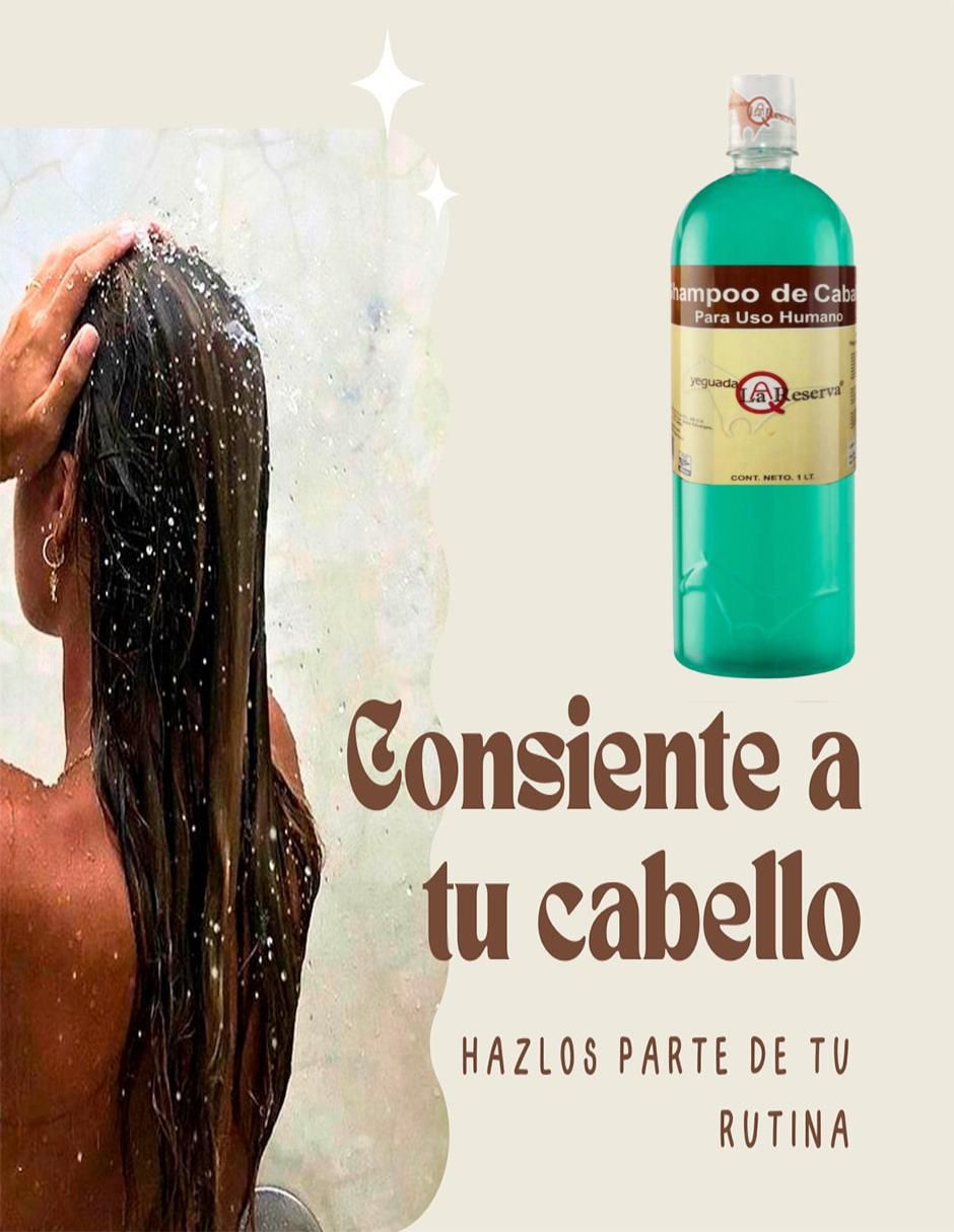 Set de shampoo para cabello Verde Sábila 4