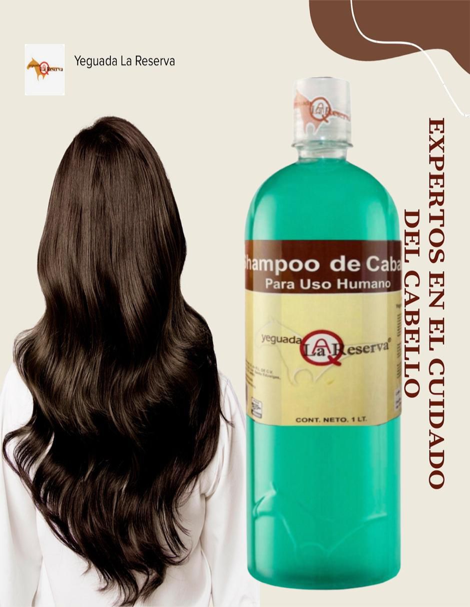 Set de shampoo para cabello Verde Sábila 5