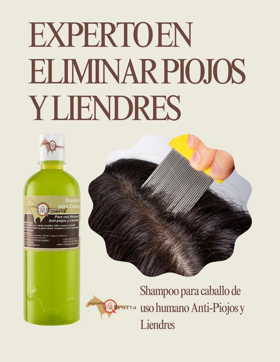 Set de shampoo para cabello Anti Piojos y Liendres 4