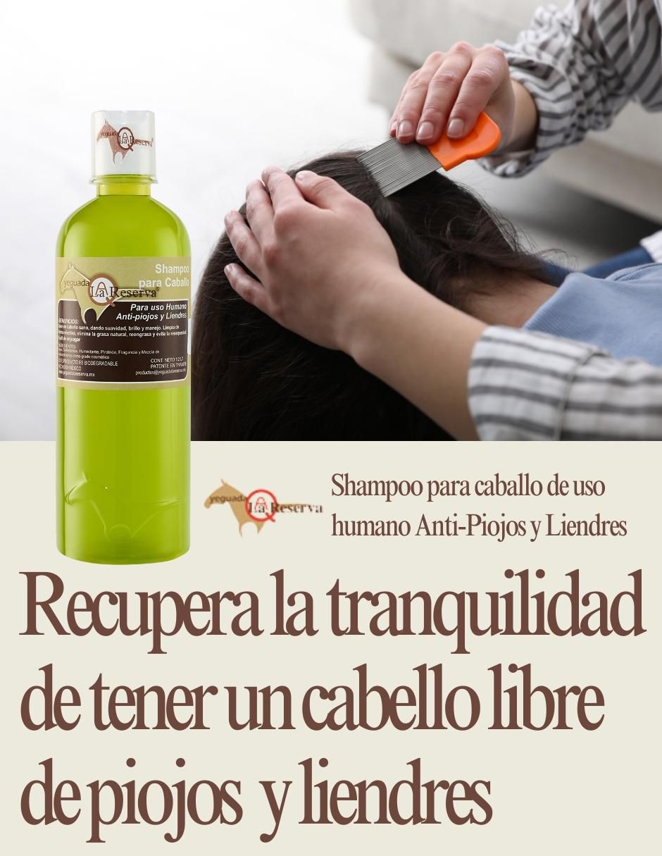 Set de shampoo para cabello Anti Piojos y Liendres