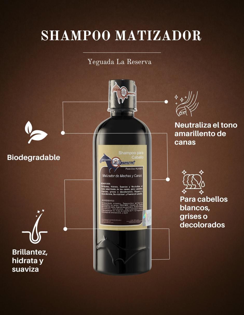 Shampoo matizador de canas para cabello 2