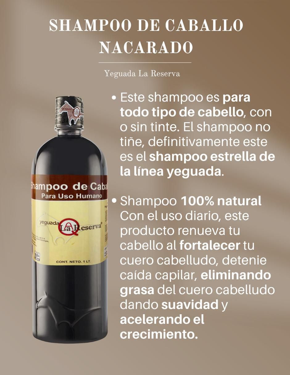 Shampoo matizador de canas para cabello 4