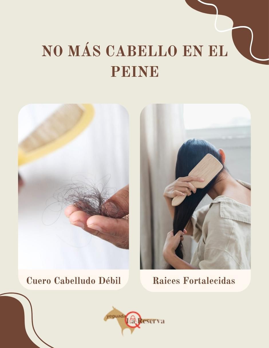 Shampoo matizador de canas para cabello 6