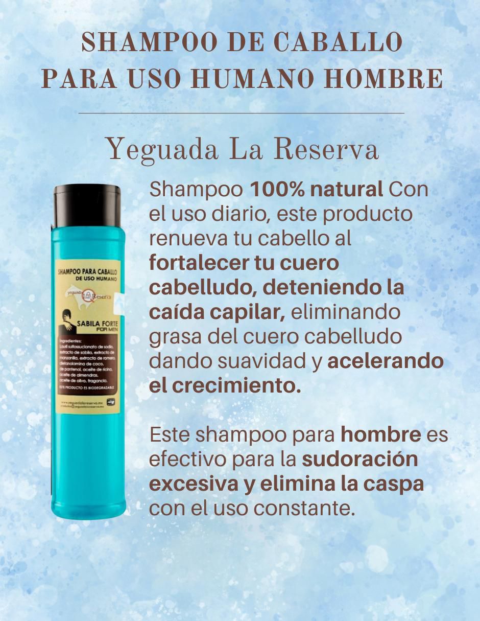 Set de shampoo para cabello
