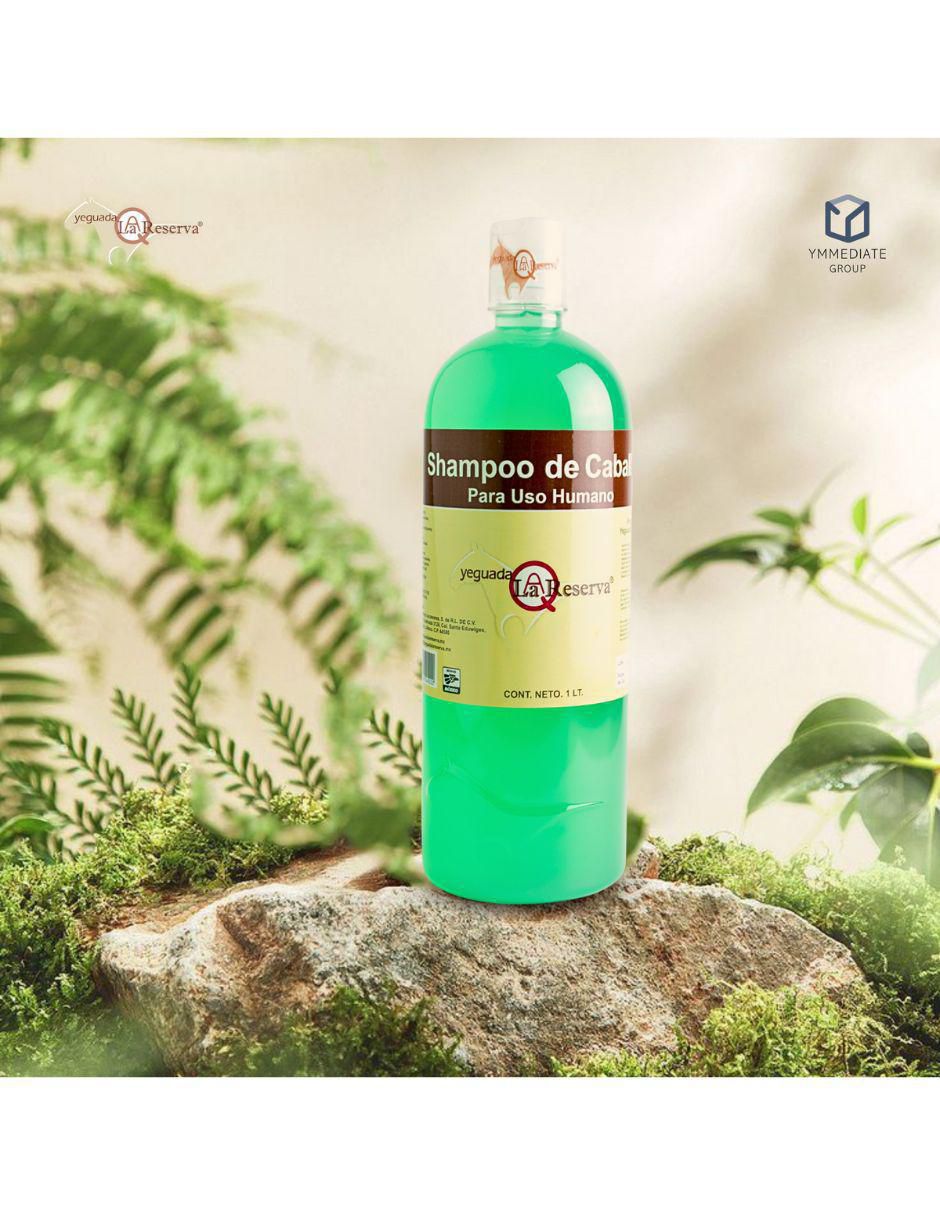 Shampoo anticaída para cabello 1 L 4