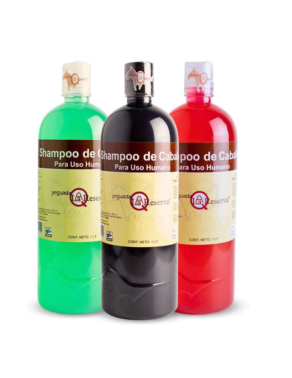 Shampoo anticaída para cabello 1 L Shampoo anticaída para cabello 1 L
