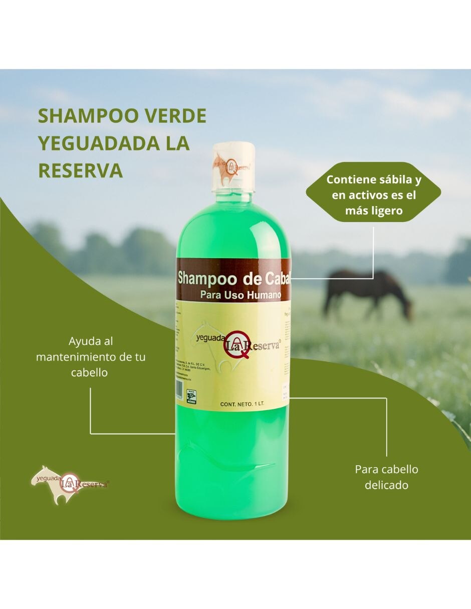 Shampoo anticaída para cabello Todo tipo Shampoo De Caballo Verde Para Uso Humano YEGUADA LA RESERVA Fuerza y Crecimiento 3