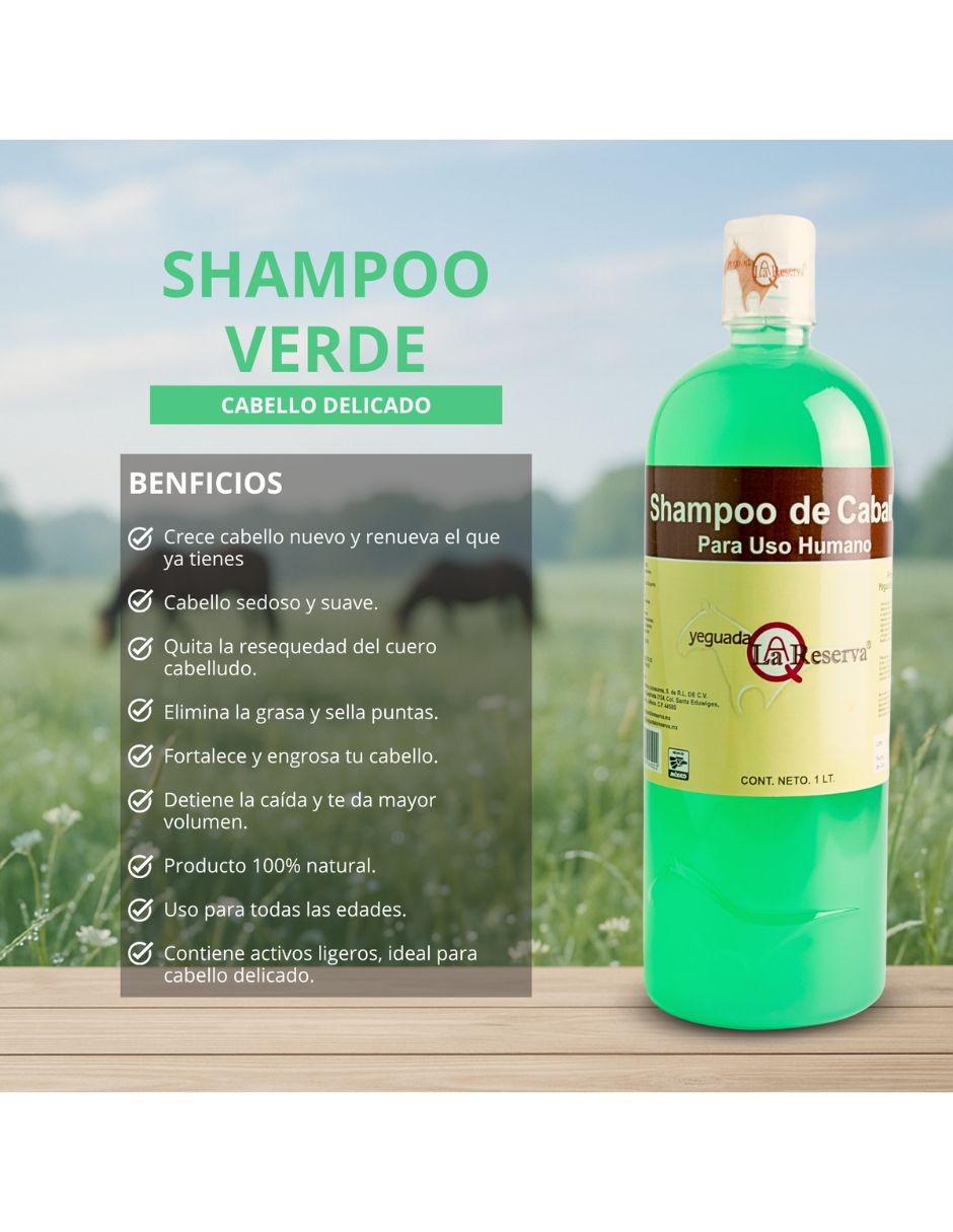 Shampoo anticaída para cabello Todo tipo Shampoo De Caballo Verde Para Uso Humano YEGUADA LA RESERVA Fuerza y Crecimiento 5